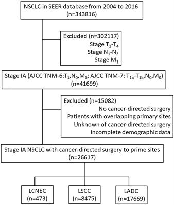 Outcomes for Surgery in Stage IA Large Cell Lung Neuroendocrine Compared With Other Types of Non-Small Cell Lung Cancer: A Propensity Score Matching Study Based on the Surveillance, Epidemiology, and End Results (SEER) Database